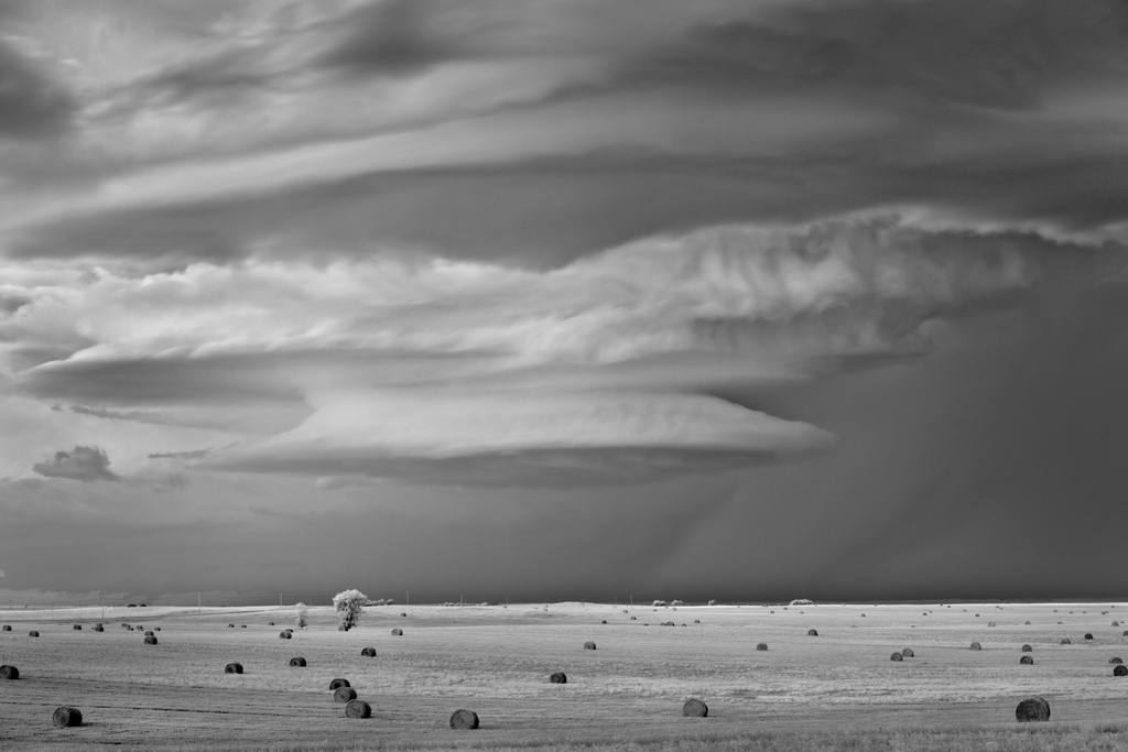 Mitch Dobrowner - Saucer - Field