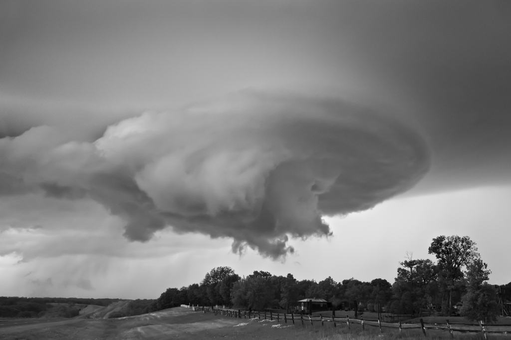 Mitch Dobrowner - Starship