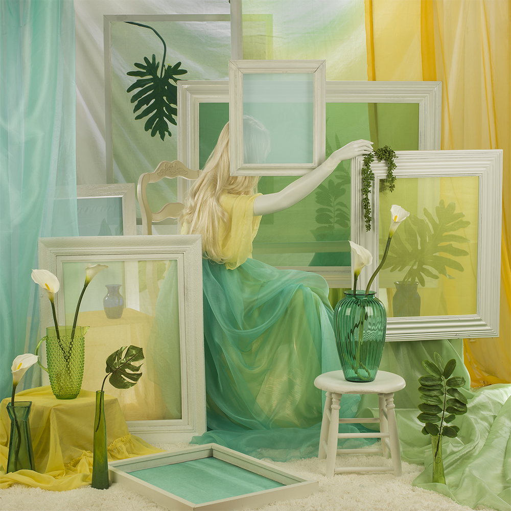 Patty Carroll, Framing Her Life (and Plants), Catherine Couturier Gallery