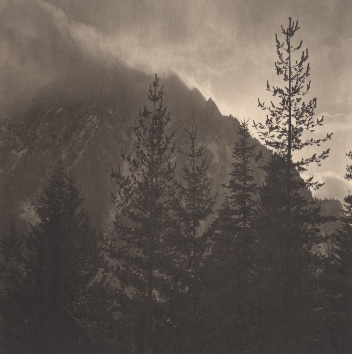 Takeshi Shikama Silent Respiration of Forests - Pacific Northwest: Mt. Rainer #4