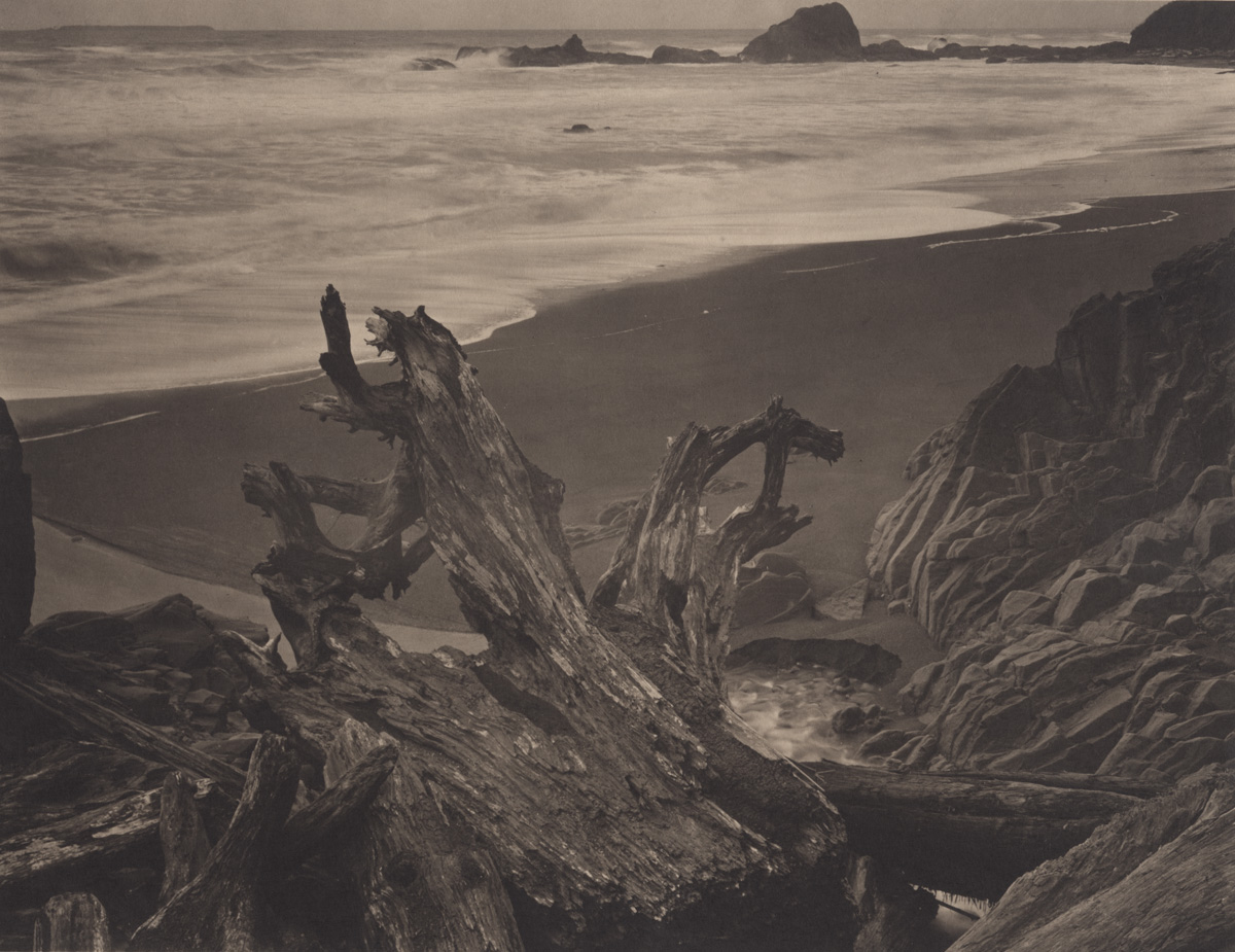 Takeshi Shikama Silent Respiration of Forests - Pacific Northwest: Ruby Beach #2